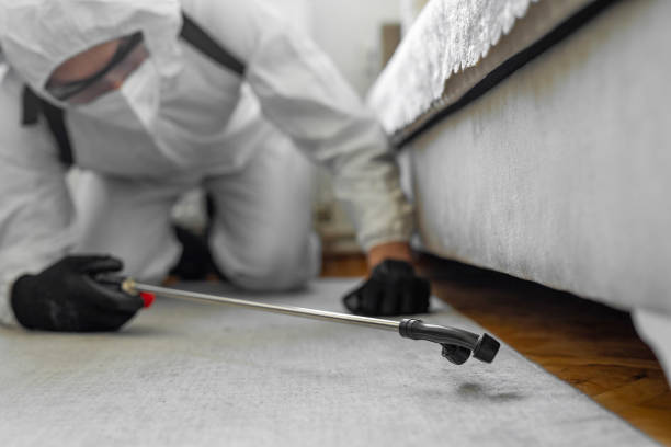 Professional Bed Bug Control technician working in Hutchison, VA