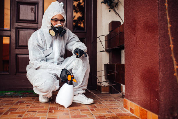 Reliable Bed Bug Control contractor in Hutchison, VA by Nex Pest Control