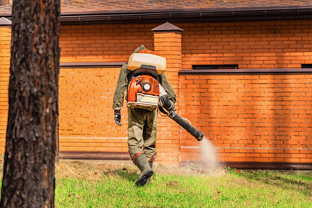 Trusted Bed Bug Control service in Hutchison, VA - Nex Pest Control